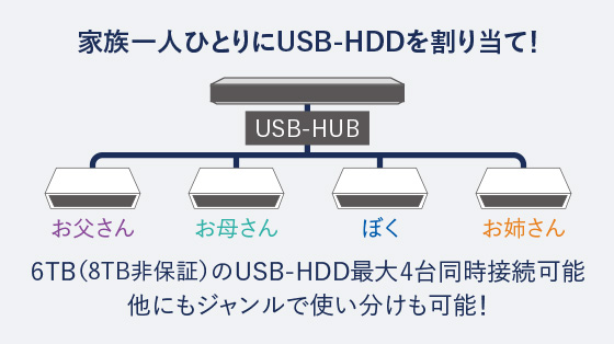 USB-HDD対応※4