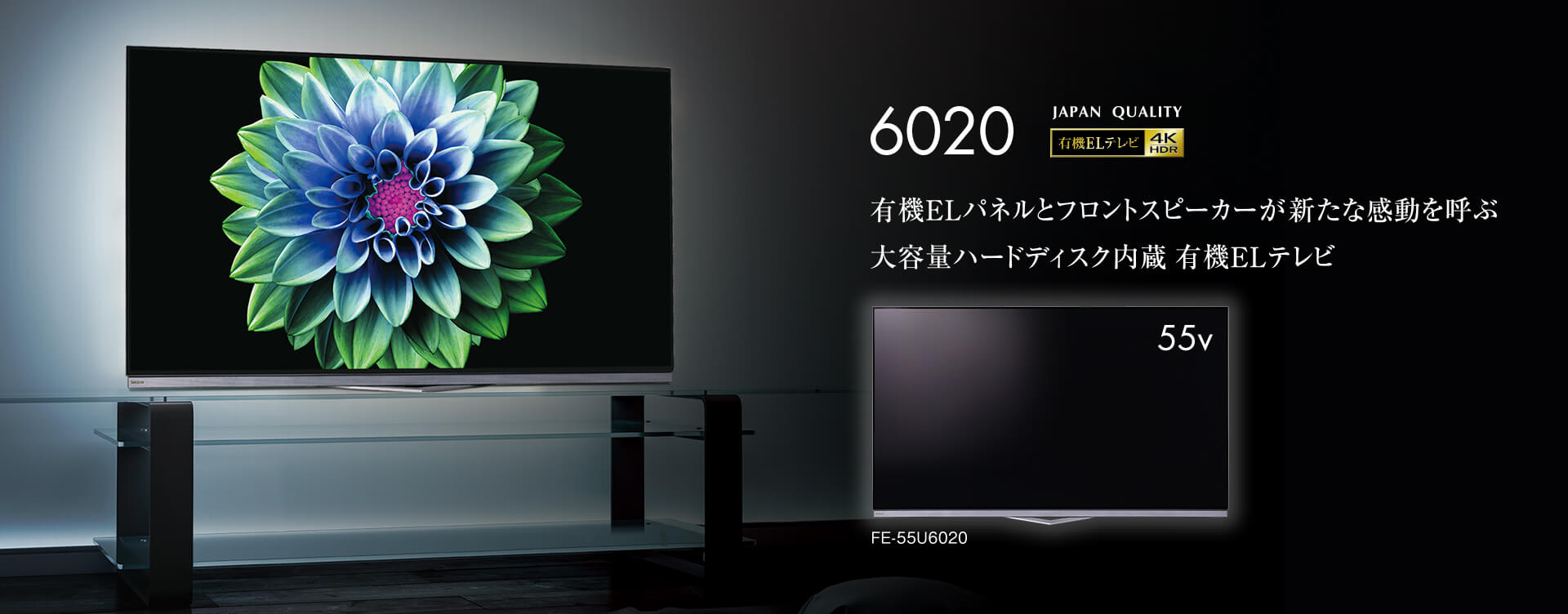 6020シリーズ｜テレビ｜FUNAI製品情報