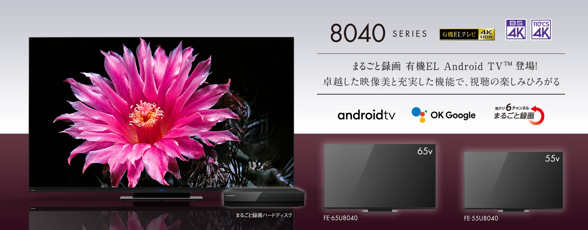 半額販壳65インチ有機EL4Kテレビ FUNAI FE65U7020(2019年製)HDR/倍速駆動/WIFI/ ■フナイ ★Joshin5714●1円開始・直接引渡可 液晶